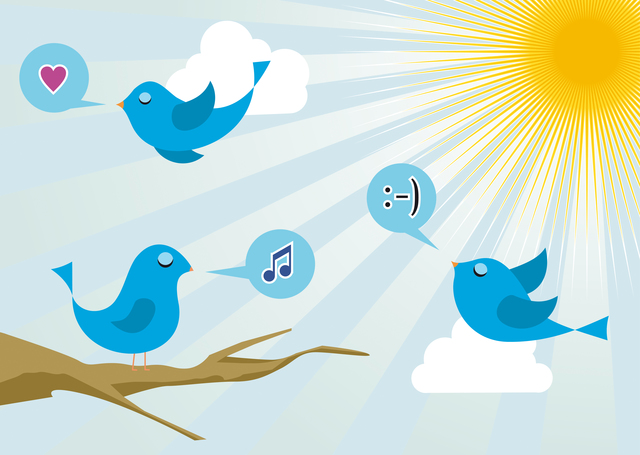 Twitter birds at social media sunrise